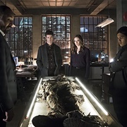 Who Is Harrison Wells?