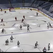 Been to an Ice Hockey Match