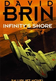 Infinity's Shore (David Brin)
