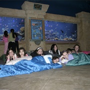 Sleepover in an Aquarium