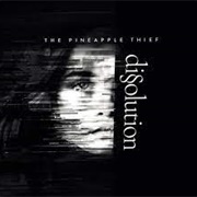 Dissolution - The Pineapple Thief