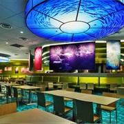 Landscape of Flavors