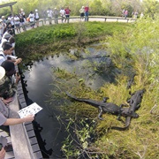Everglades National Park
