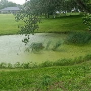 Genforeningssten I Bagsværd