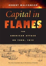 Capital in Flames (Robert Malcolmson)