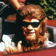 Todd Howard (Teen Wolf Too)