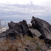 Obsidian Butte on the Salton Sea
