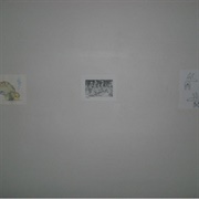 Nervous Young Man (Car Seat Headrest, 2013)