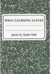 What Learning Leaves (Taylor Mali)