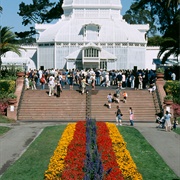 San Francisco Conservatory of Flowers
