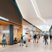 Alexandrium, Rotterdam