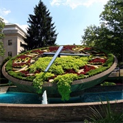 Kentucky Floral Clock