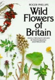 Wild Flowers of Britain (Roger Phillips)