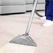 Clean the Carpets