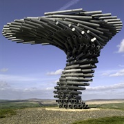 Singing, Ringing Tree, Burnley