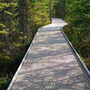 Big Bog State Recreation Area