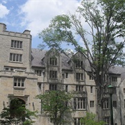 Beebe Gallery at the Kinsey Institute