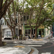 1908 Cistern Circles