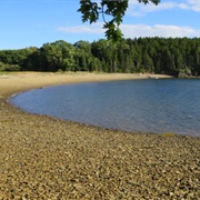 Holbrook Island Sanctuary State Park