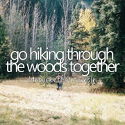 Go Hiking Through the Woods