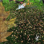 Planning for Burial - When Summer Turns to Fall