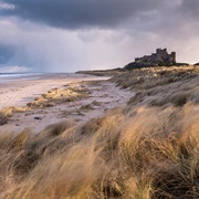 Sand Dunes of Bamburgh Beach, Northumberland, England