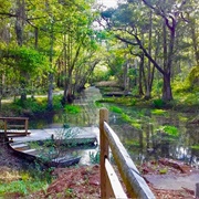 Savannah Ogeechee Canal