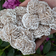 Desert Rose Selenite