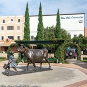 Blue Bell Creameries Tour, TX