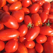 Pomodoro Da Mola