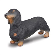 Toy Wiener Dog