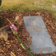 Brownie the Town Dog's Grave