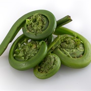 Collect and Eat Fiddleheads