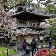 Japanese Tea Garden