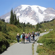 Mount Rainier National Park