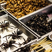 I Have Tried Exotic Food.