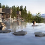 Forest Lagoon, Iceland