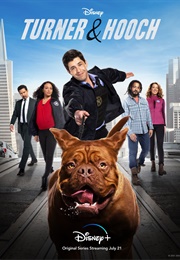 Turner & Hooch (2021)