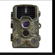 Trail Cameras