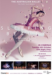 The Sleeping Beauty (2016)