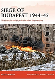 Siege of Budapest (Balázs Mihályi)