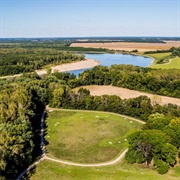 'A Healing Palindrome'