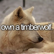 Own a Timberwolf