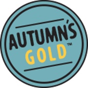 Autumn&#39;s Gold
