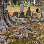 Forest Hills Cemetery