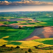 The Palouse, Idaho/Washington, US