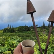 Heavenly Hawaiian Coffee Farm Tour