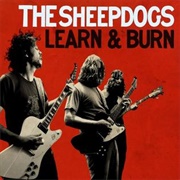 The Sheepdogs - Learn &amp; Burn