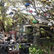 Mark Olivier's Yard Art