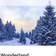 Enjoy Stroll Through Winterwonderland